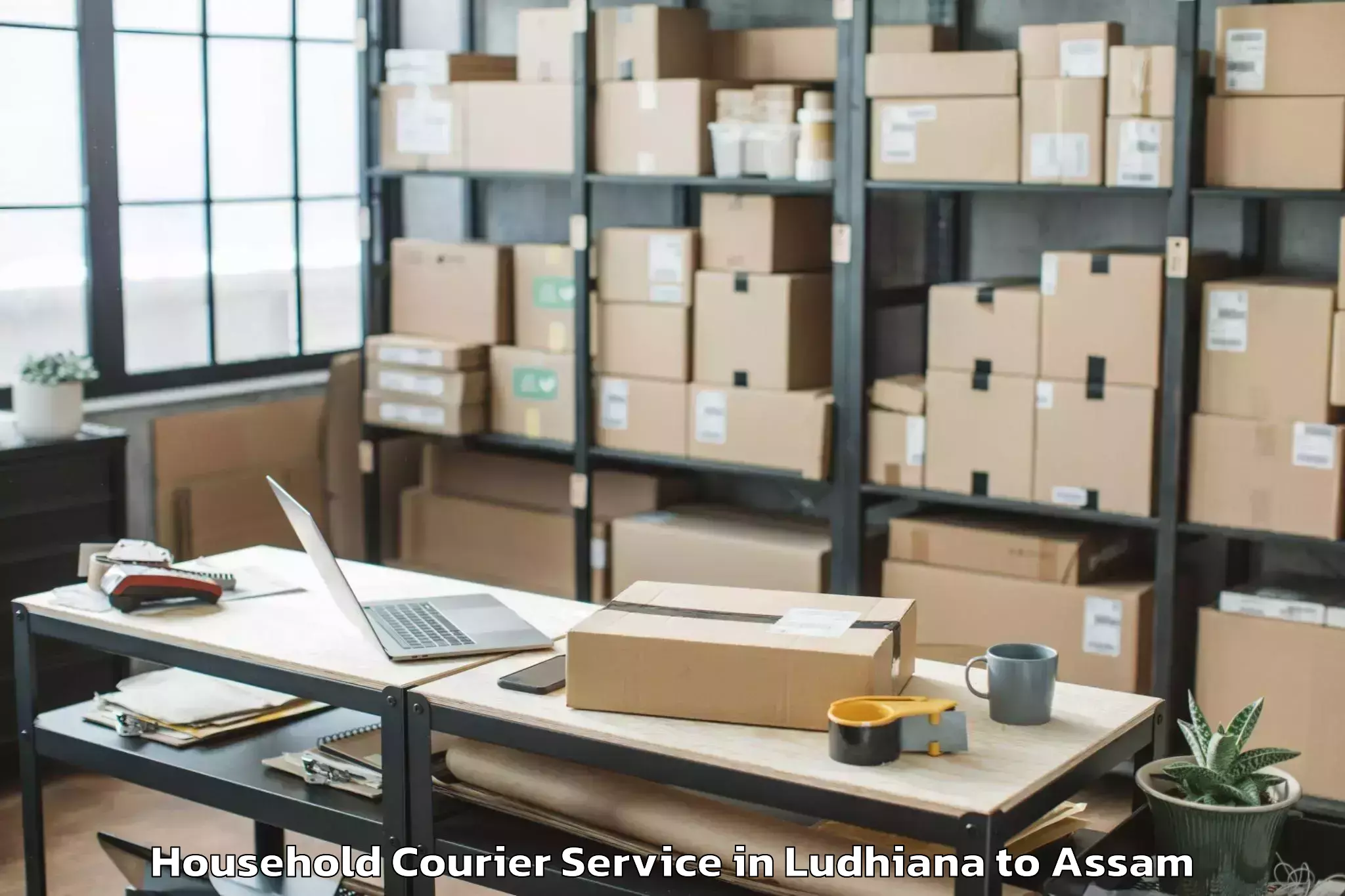 Book Ludhiana to Nagaon Household Courier Online